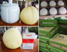 中華壽桃銷售火爆